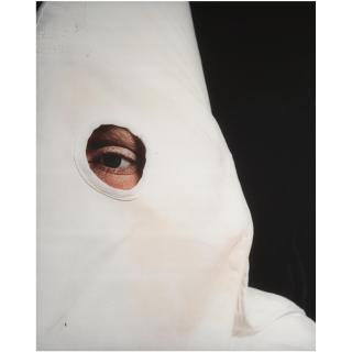 Andres Serrano - Klanswoman (Grand Klaliff Ii), 1990