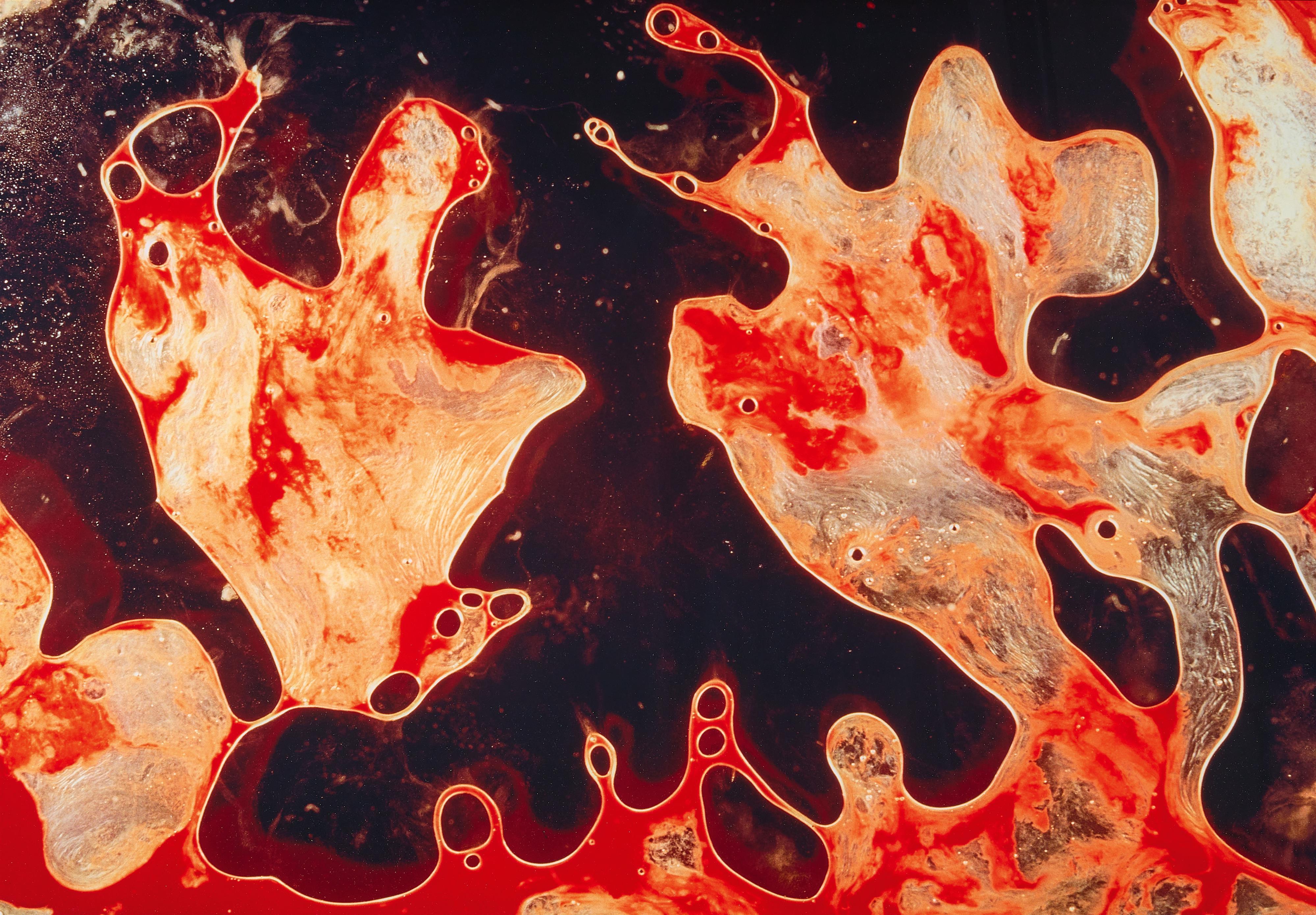 Andres Serrano - Semen & Blood I (aus der Serie: Bodily fluids)