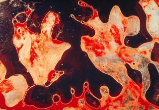 Andres Serrano - Semen & Blood I (aus der Serie: Bodily fluids)