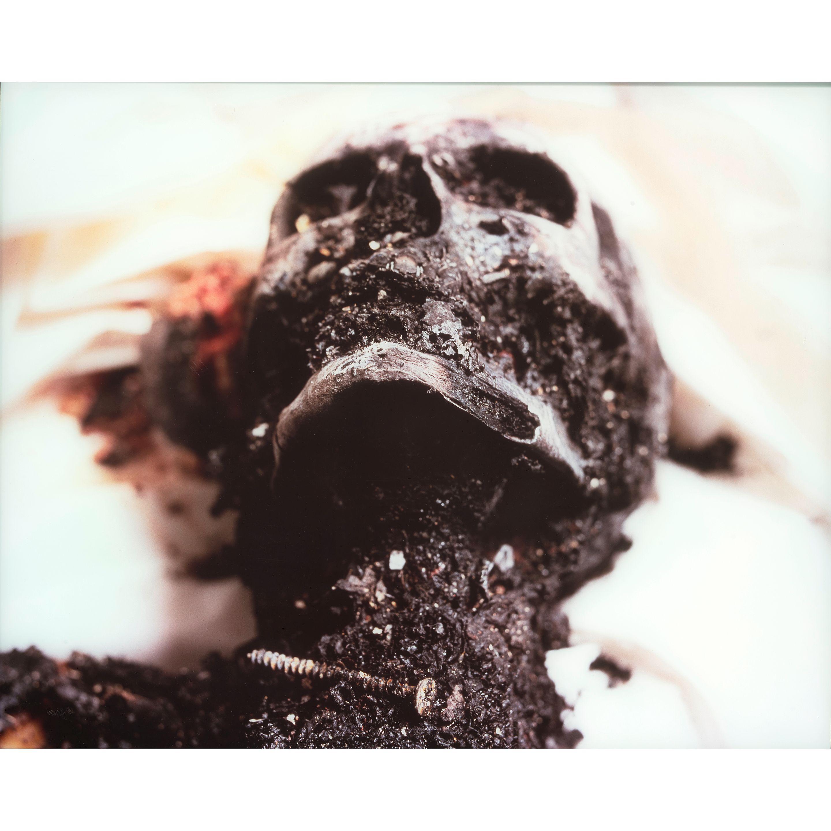 Andres Serrano - \'The Morgue (Burnt to Death)\'