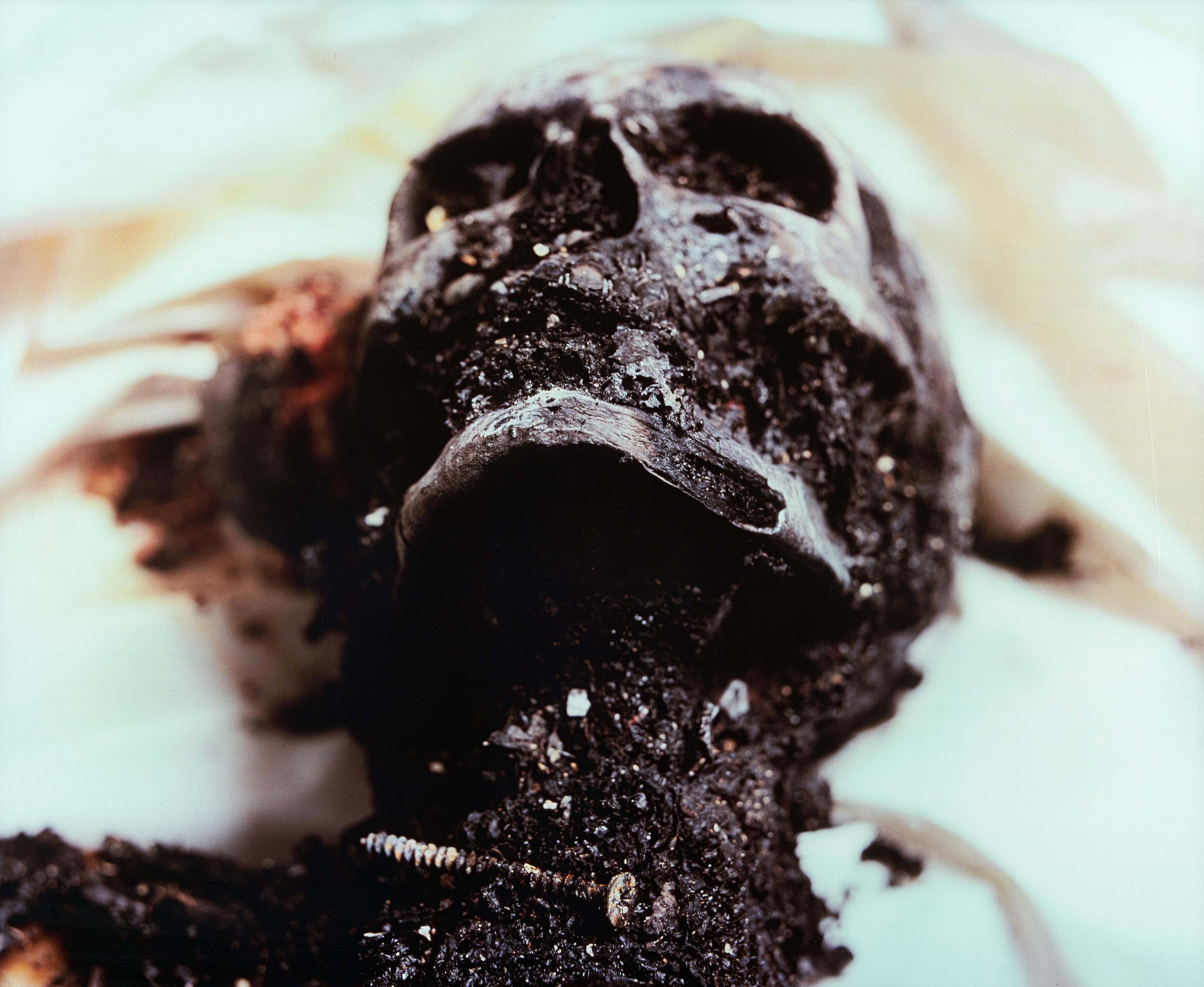 Andres Serrano - The Morgue (Burnt to Death)