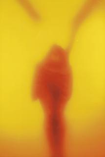 Andres Serrano - Winged Victory, 1987