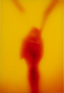 Andres Serrano - \'Winged Victory\'