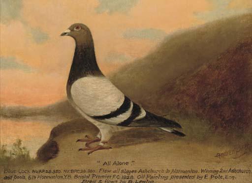 Andrew Beer - All alone