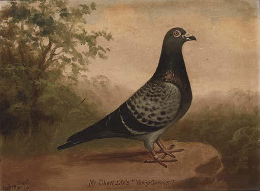 Andrew Beer - Mr Oliver Dix\'s Floss; and Mr Oliver Dix\'s Young Spencer