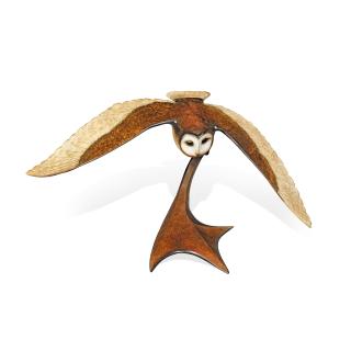 Andrew Glasby - Barn Owl