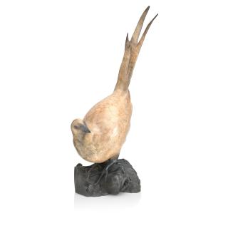 Andrew Glasby - Hen Pheasant