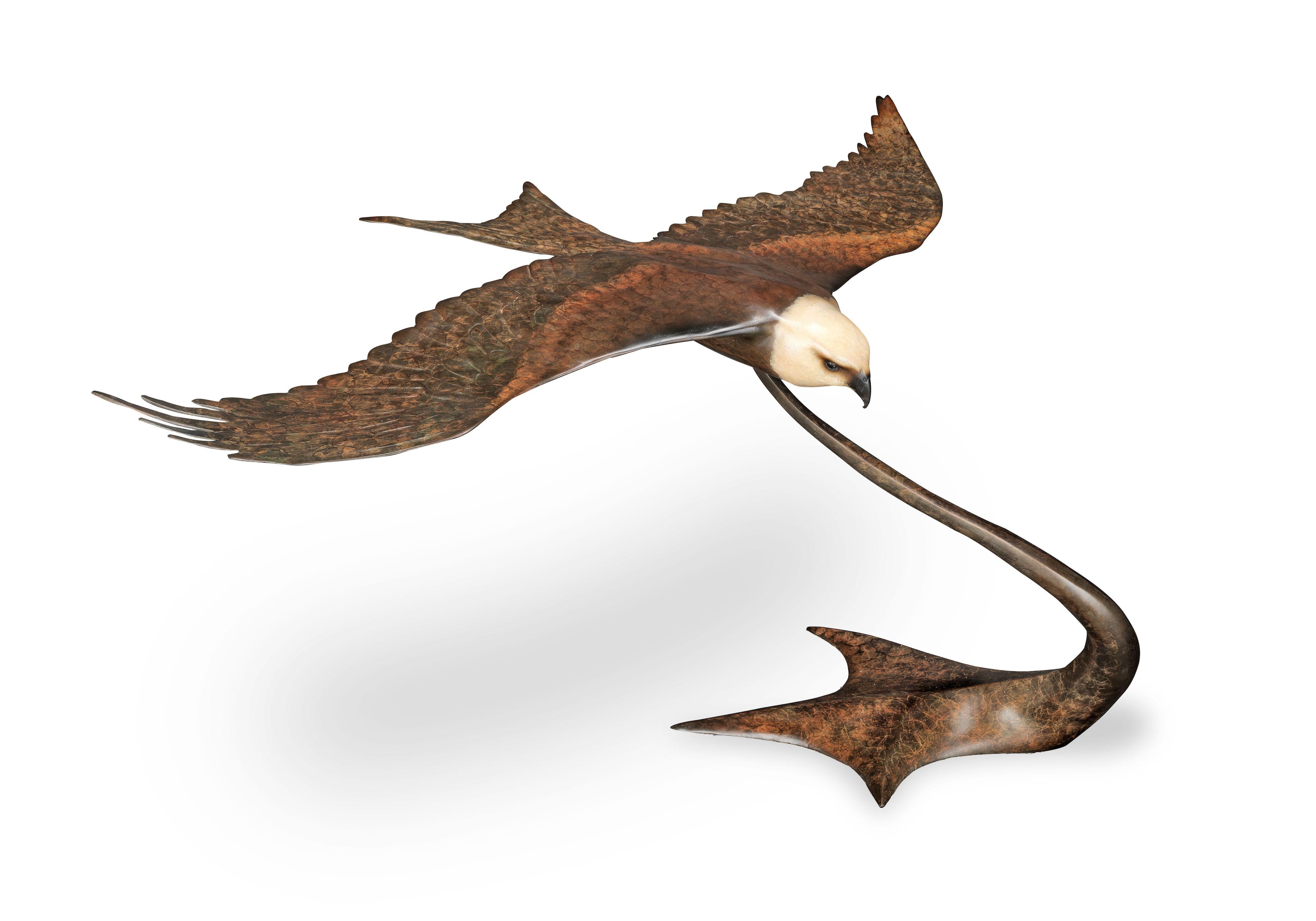 Andrew Glasby - Red Kite