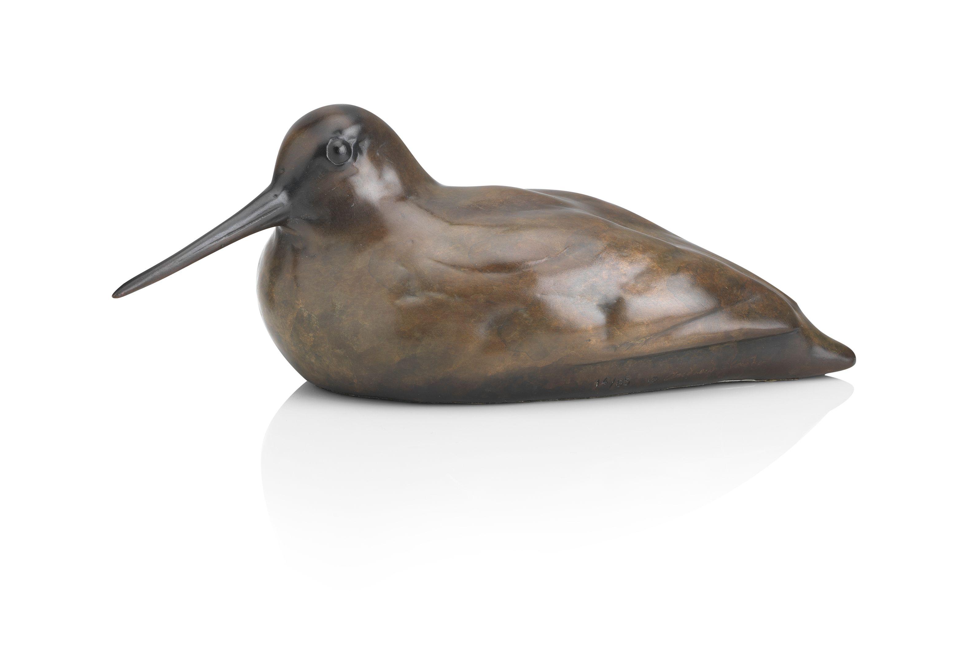 Andrew Glasby - Woodcock Resting