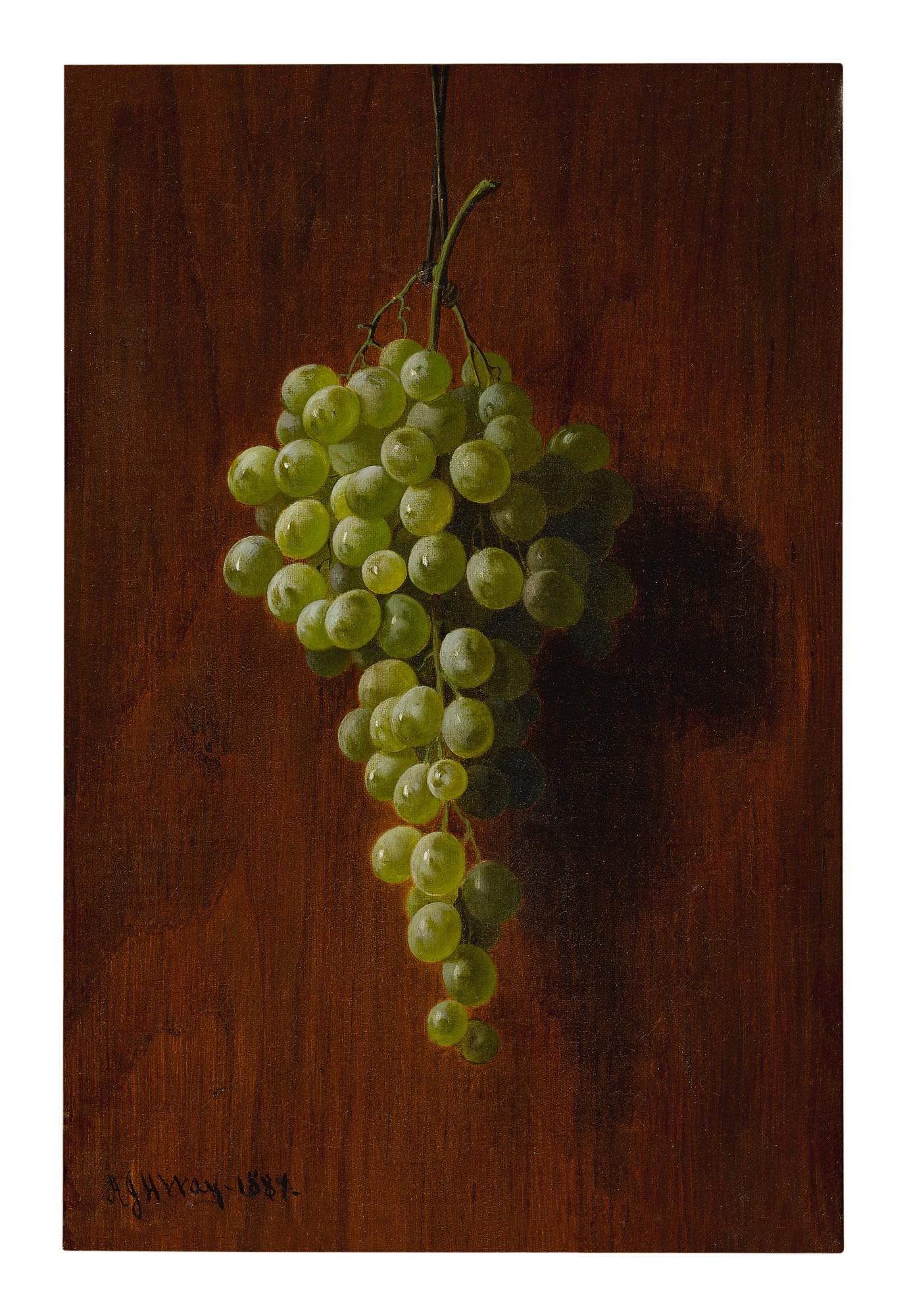 Andrew John Henry Way - Grapes