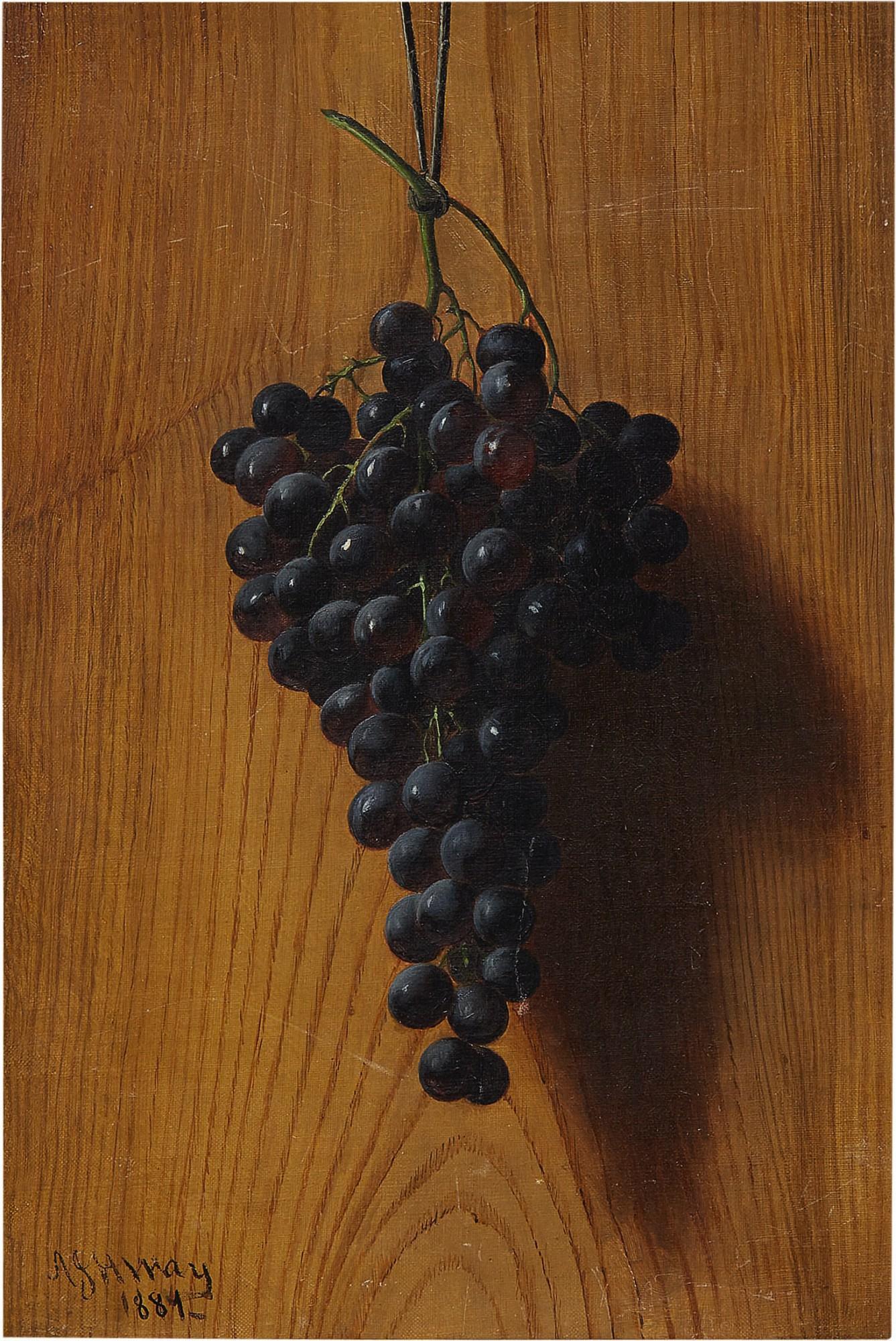 Andrew John Henry Way - Grapes