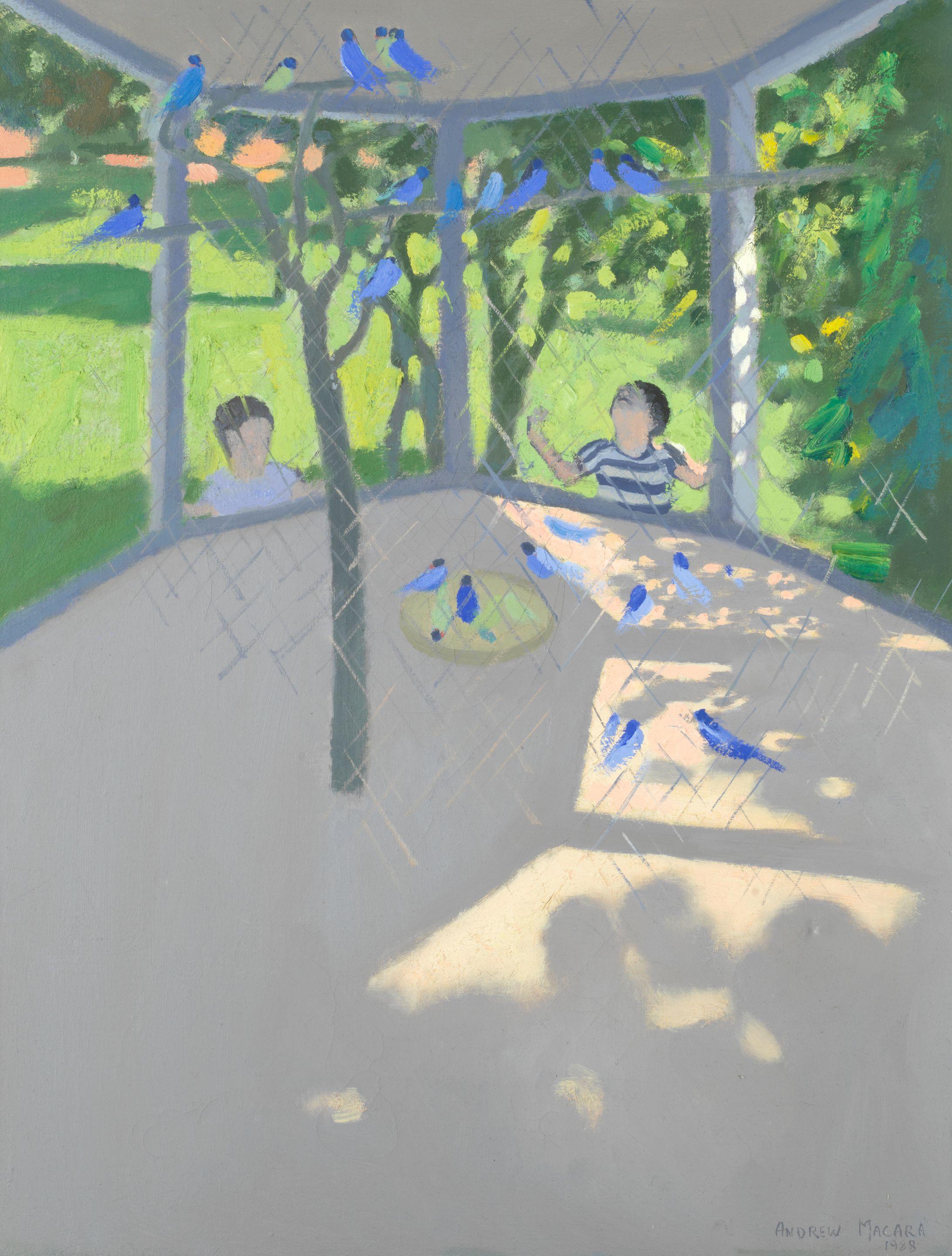 Andrew Macara N.E.A.C. - AViary