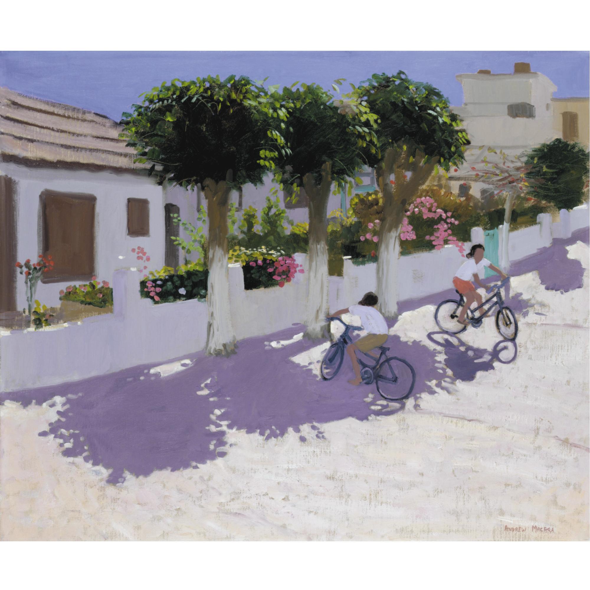 Andrew Macara - Cycling In The Sun