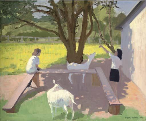 Andrew Macara - Goats, Rolleston-on-Dove