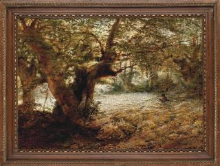 Andrew MacCallum - A stalker in the sunlit woods