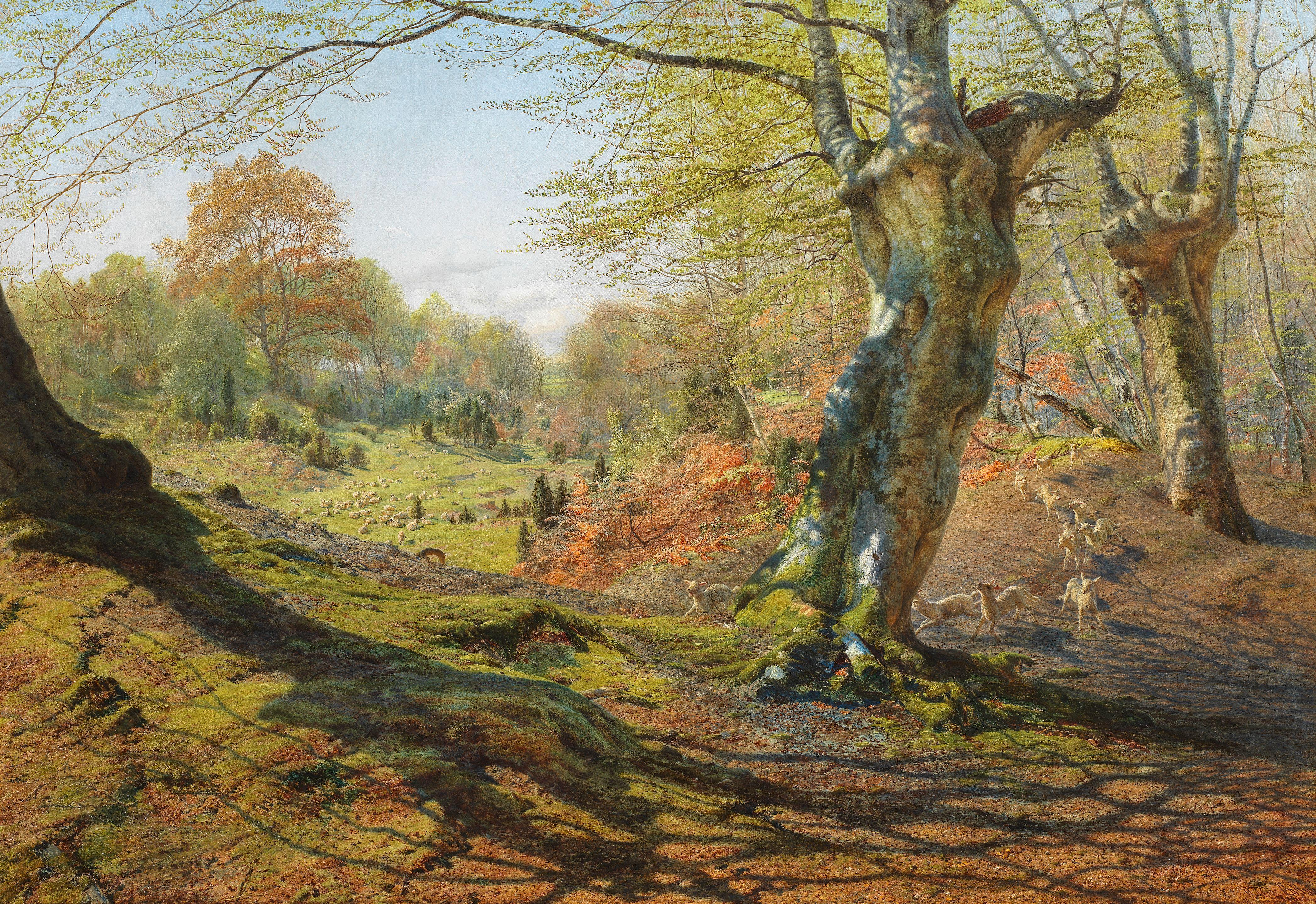 Andrew MacCallum - Spring - The outskirts of Burnham Wood