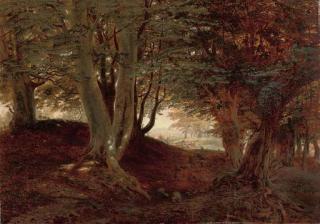 Andrew MacCallum - The shady side, near the Hendry, Monmouthshire