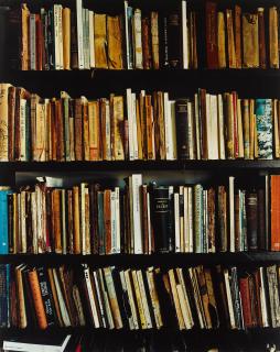 Andrew Moore - Anton\'s Books