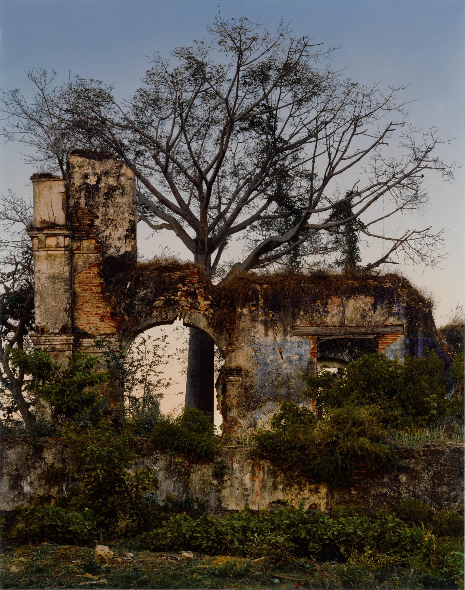 Andrew Moore - \'Magua\' (Valley of the Sugar Mills)