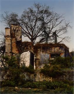 Andrew Moore - \'Magua\' (Valley of the Sugar Mills)