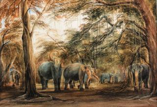 Andrew Nicholl, R.H.A. - A herd of elephants, Ceylon