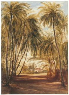 Andrew Nicholl, R.H.A. - Kew avenue from my own gate near Colombo, Oct 31 1848; and Elie House, Mutural, Colombo – a sketch