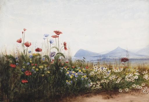 Andrew Nicholl, R.H.A. - Poppies, cornflowers and daisies on Killiney Hill; Killiney Bay, Bray Head and the Sugar Loaf mountain in the distance