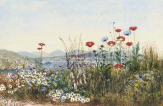 Andrew Nicholl, R.H.A. - The Mountains of Mourne, Co. Down