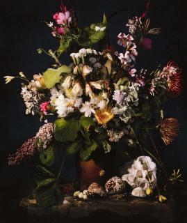 Andrew Putter - Hottentots Holland: Flora Capensis 1