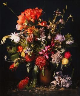 Andrew Putter - Hottentots Holland: Flora Capensis 2