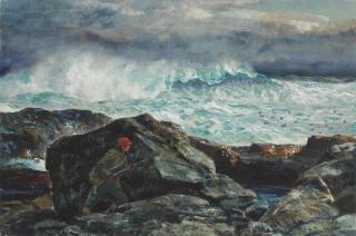 Andrew Winter - The Duck Hunter