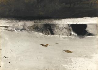 Andrew Wyeth B. - Ice Pool