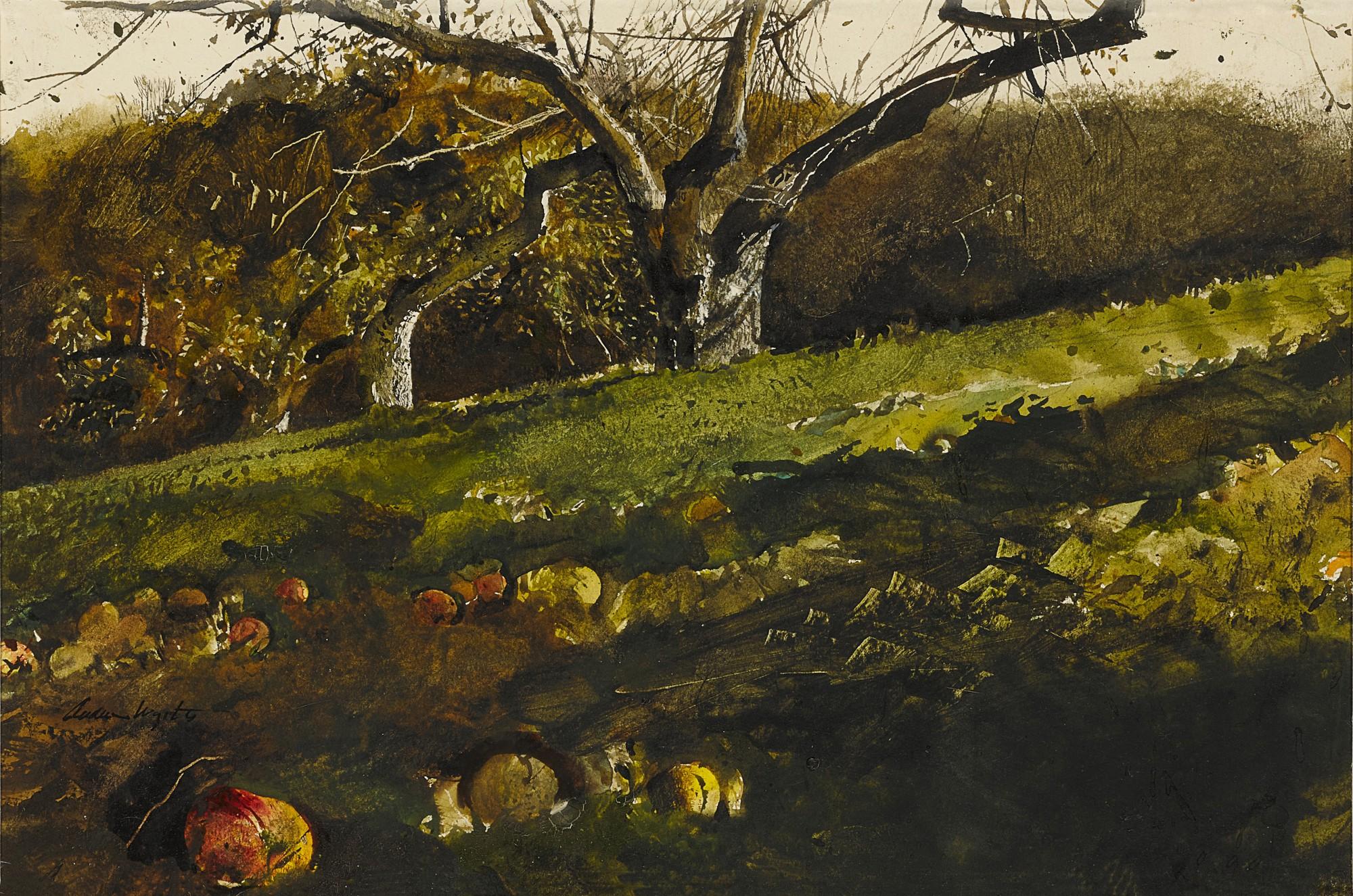 Andrew Wyeth - Apple Orchard