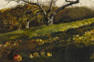 Andrew Wyeth - Apple Orchard