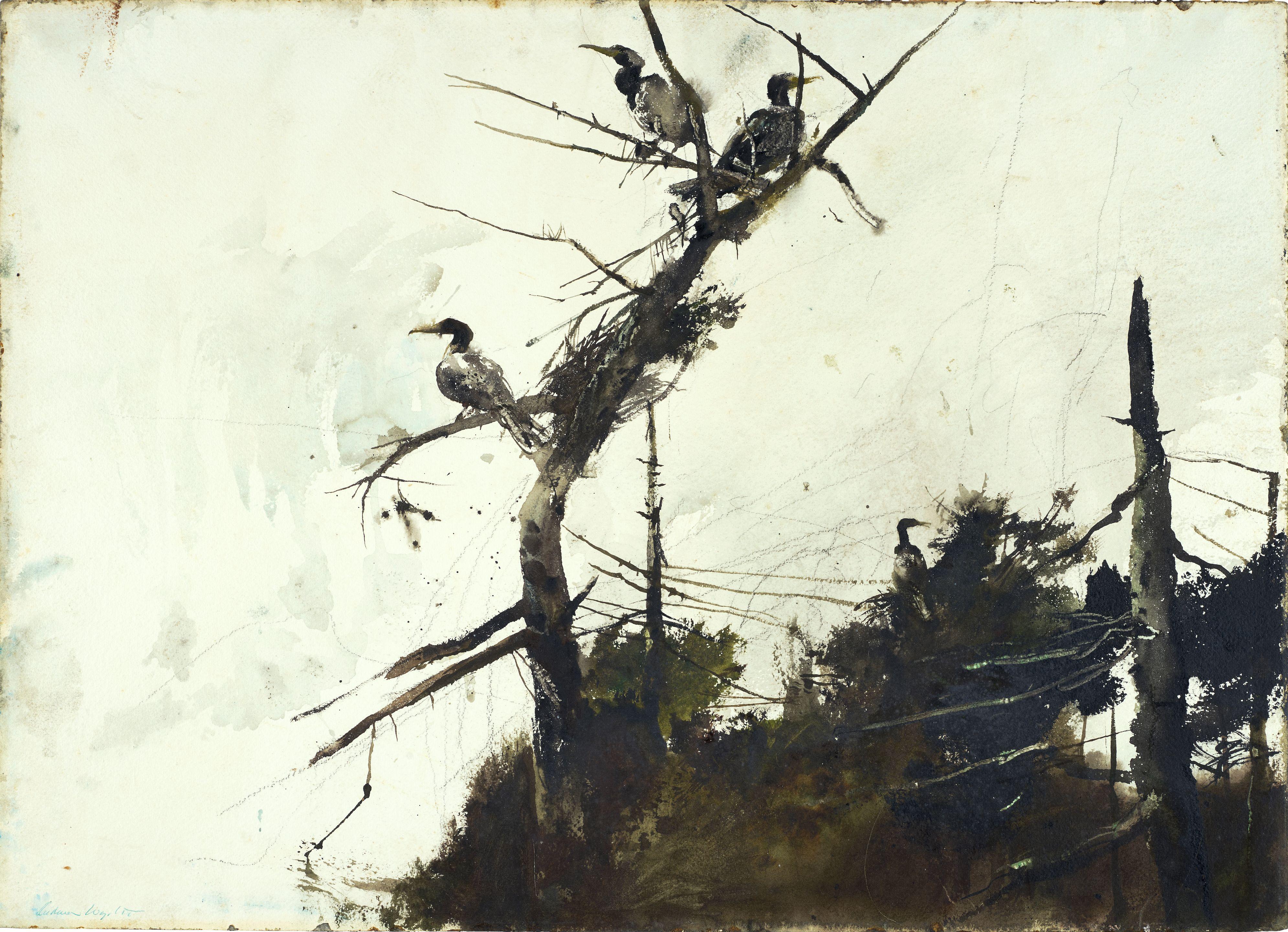 Andrew Wyeth - Cormorants