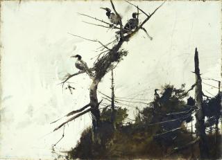 Andrew Wyeth - Cormorants