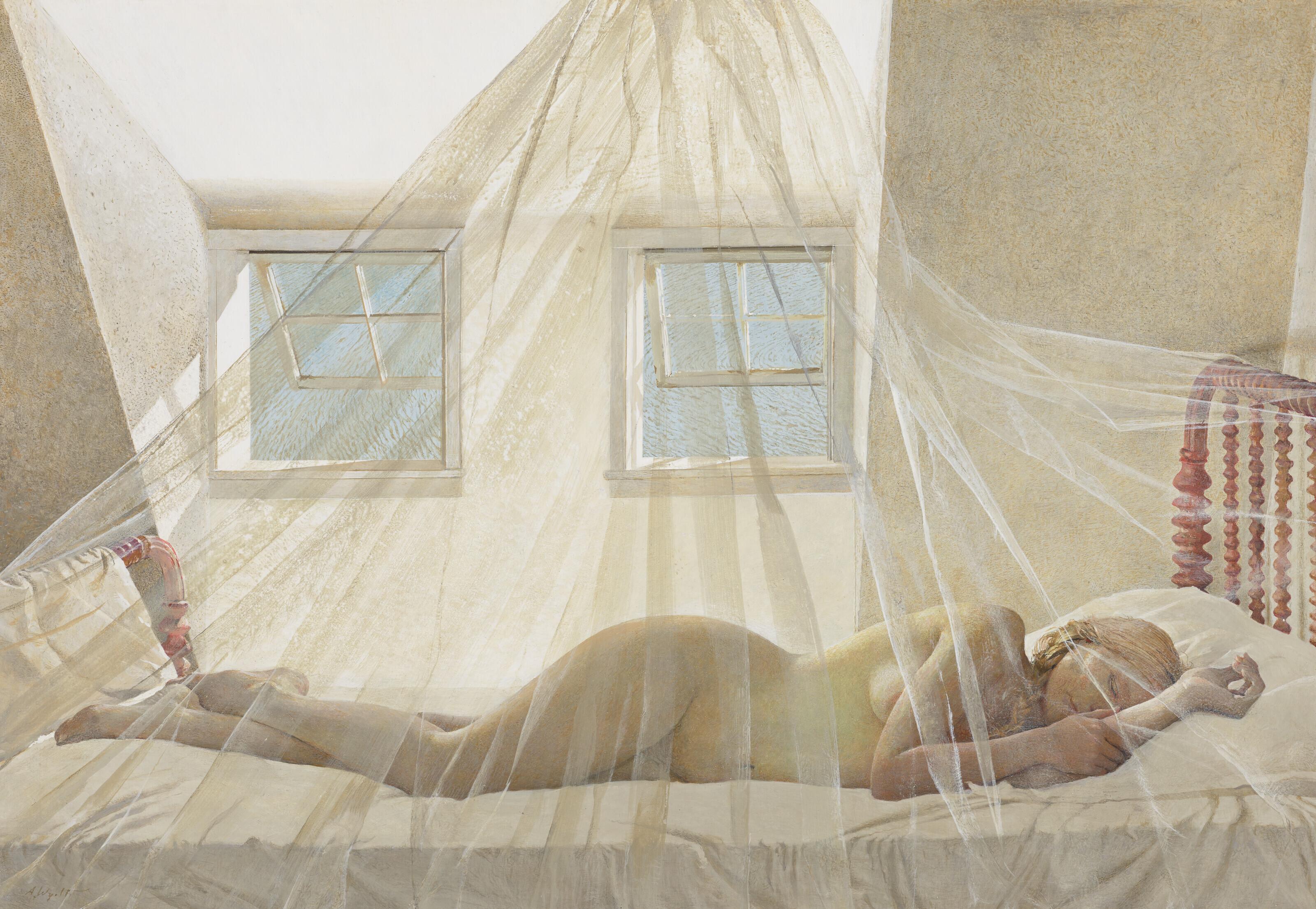 Andrew Wyeth - Day Dream