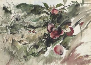Andrew Wyeth - Picking Apples