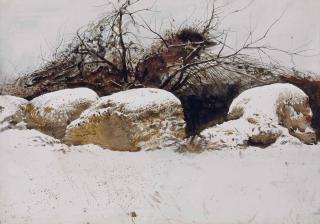 Andrew Wyeth - Shredded Wheat