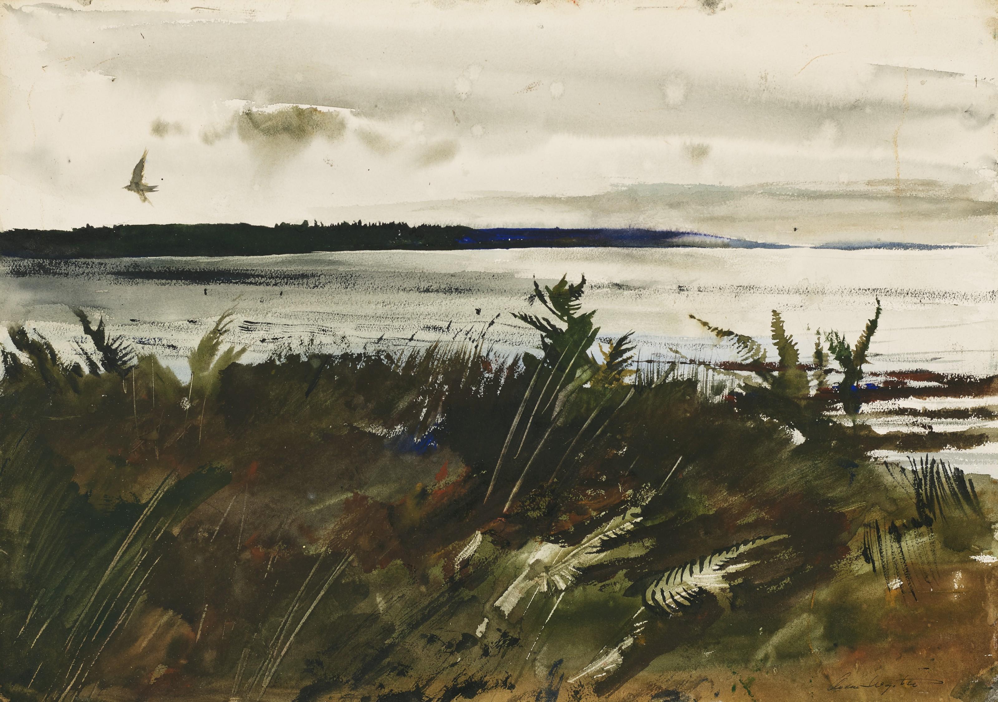 Andrew Wyeth - The Lone Gull
