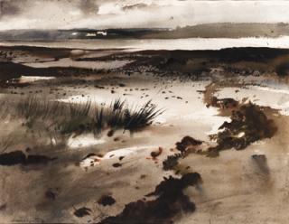 Andrew Wyeth - Tide Pools