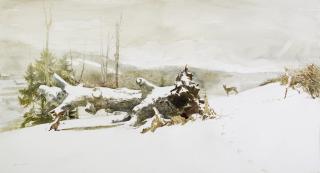 Andrew Wyeth - Tracks