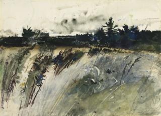 Andrew Wyeth - Waldboro Woods