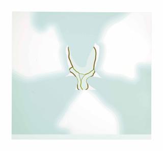 Andy Collins - Untitled