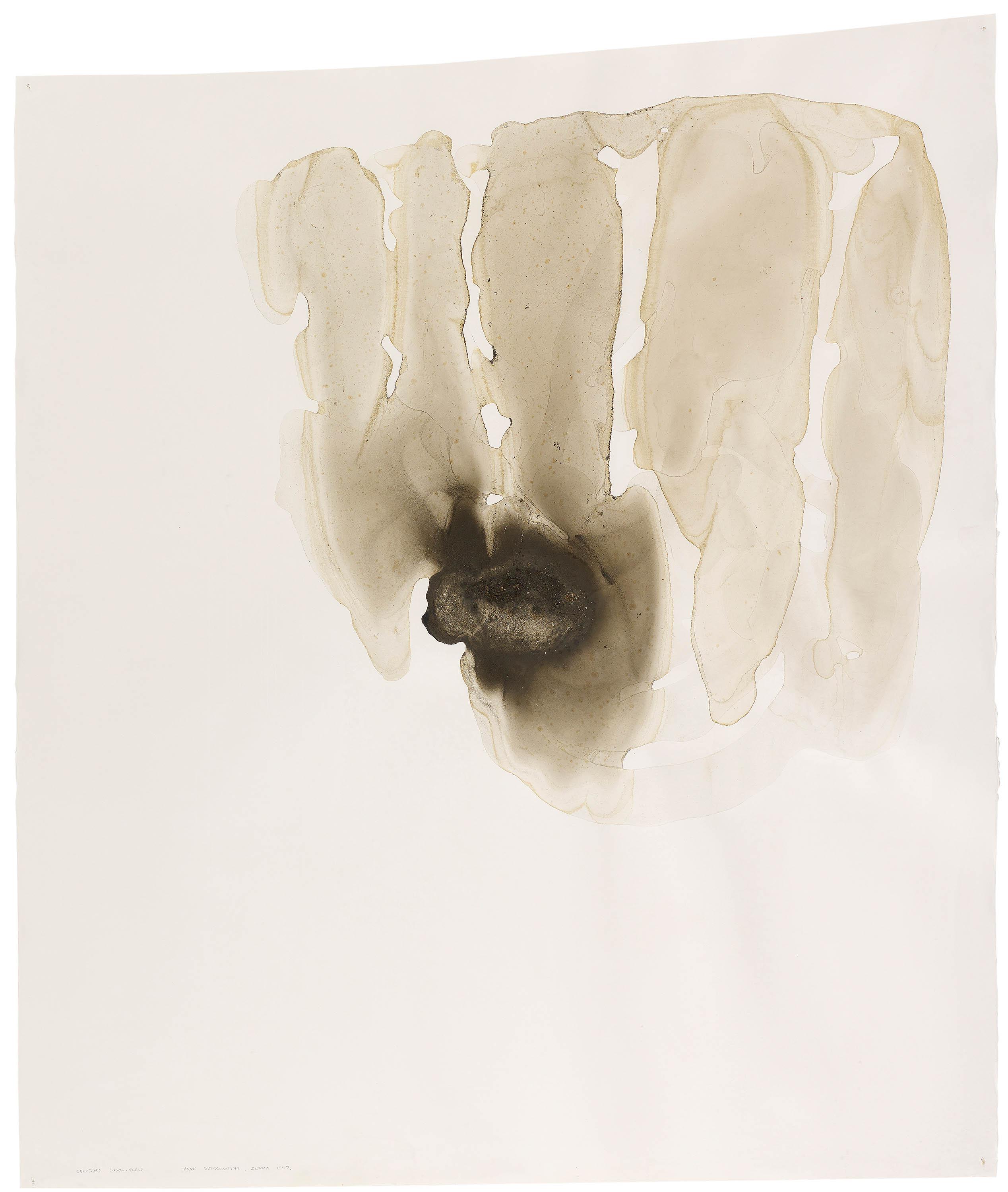 Andy Goldsworthy - \