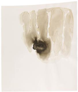 Andy Goldsworthy - \