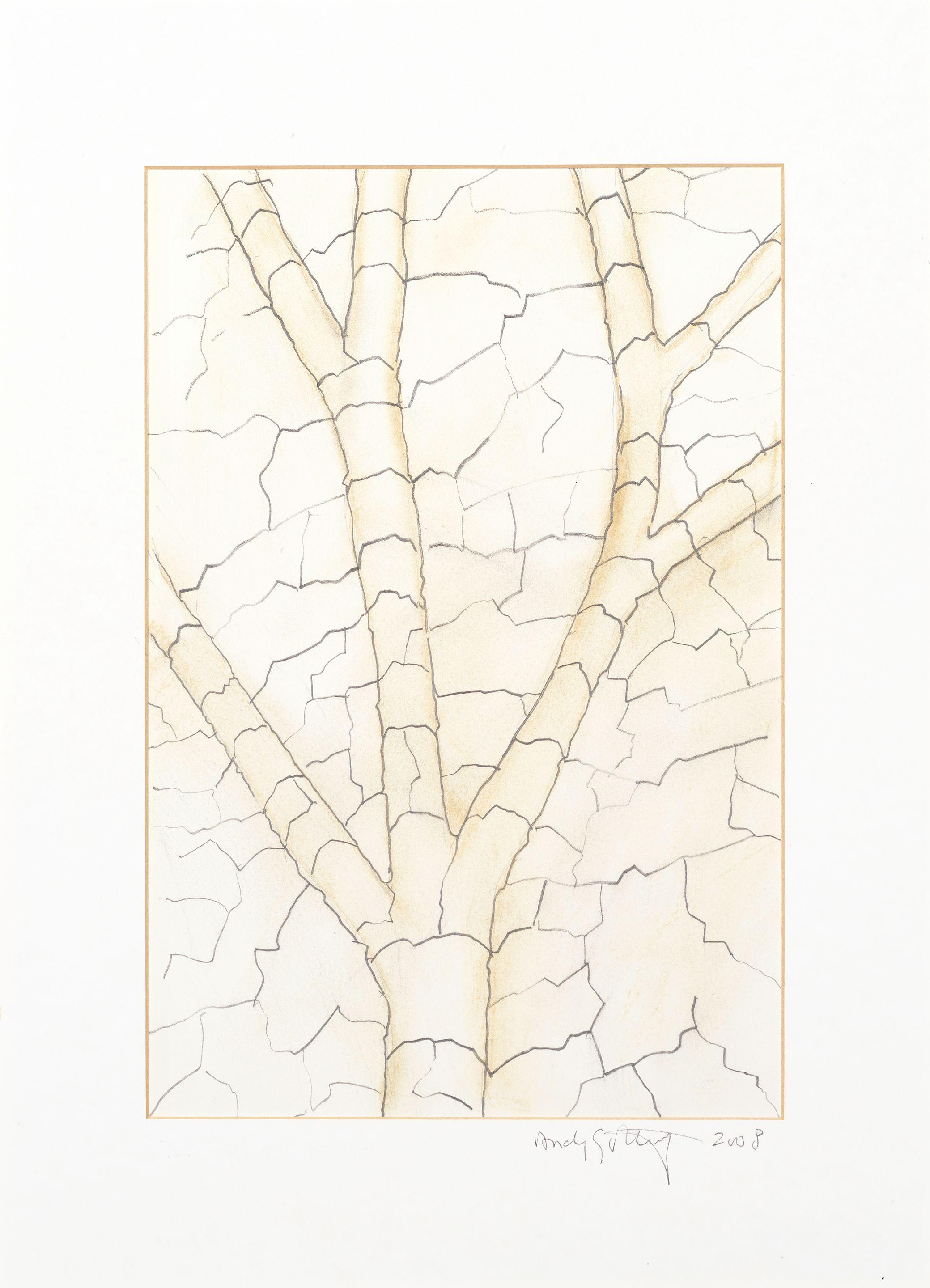 Andy Goldsworthy - Clay Tree Wall, Jupiter Artland