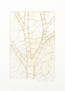 Andy Goldsworthy - Clay Tree Wall, Jupiter Artland