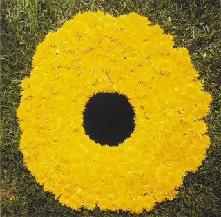 Andy Goldsworthy - Dandelions collected on the way to Bretton laid around a carefully made hole