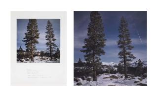Andy Goldsworthy - Icicles Carefully broken in two Frozen to a Tree Early in the Morning